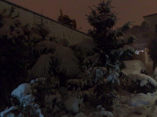 Name:  31012012646.jpg
Views: 419
Size:  28.9 KB