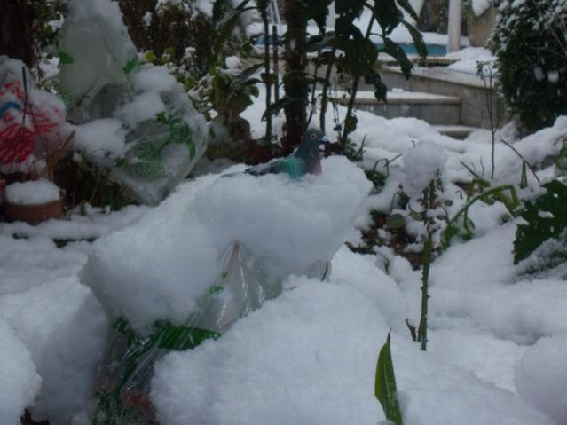 Name:  100_4775.jpg
Views: 344
Size:  38.7 KB