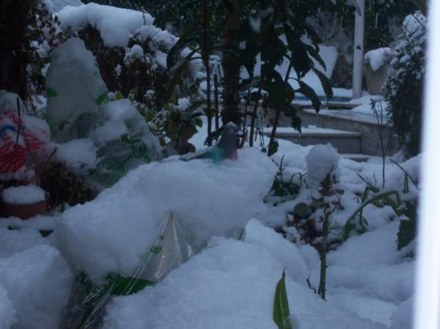 Name:  100_4776.jpg
Views: 350
Size:  38.3 KB