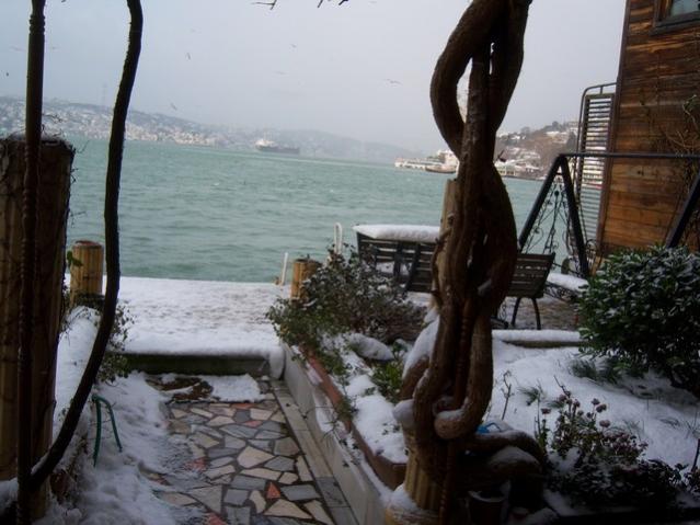 Name:  100_4780.jpg
Views: 359
Size:  48.0 KB
