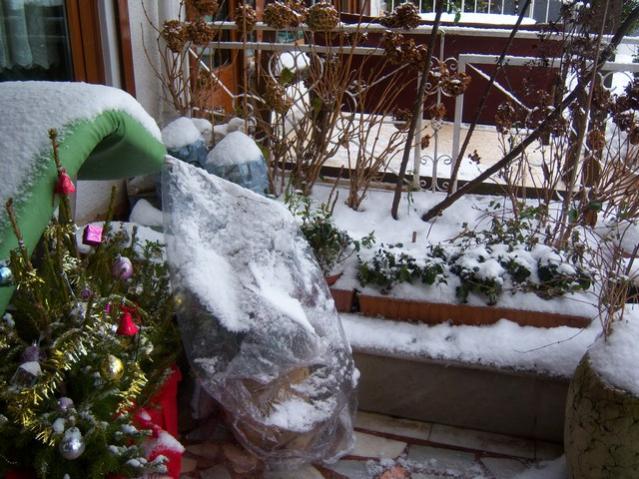 Name:  100_4782.jpg
Views: 336
Size:  67.9 KB