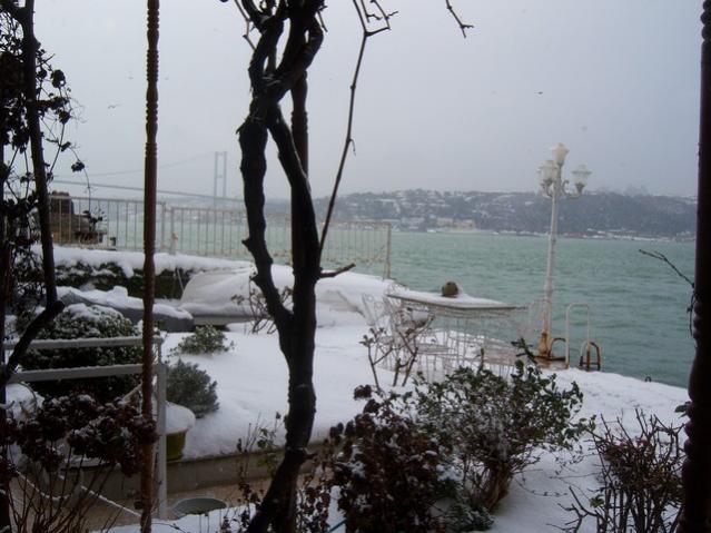 Name:  100_4783.jpg
Views: 335
Size:  50.3 KB