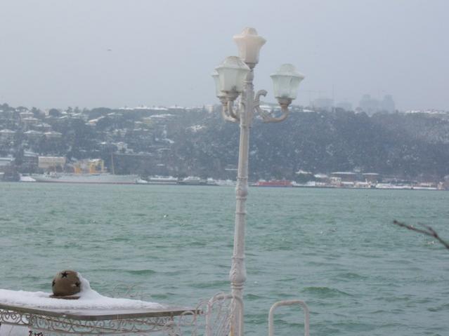 Name:  100_4784.jpg
Views: 336
Size:  31.0 KB