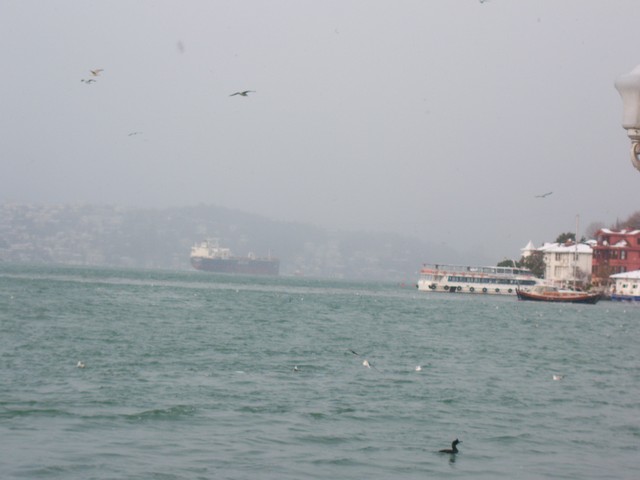 Name:  100_4785.jpg
Views: 357
Size:  67.8 KB