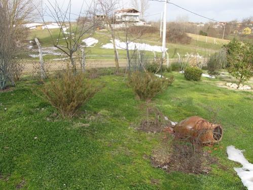 Name:  IMG_8621.jpg
Views: 786
Size:  43.3 KB