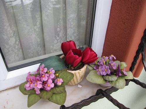 Name:  IMG_8642.jpg
Views: 772
Size:  30.4 KB