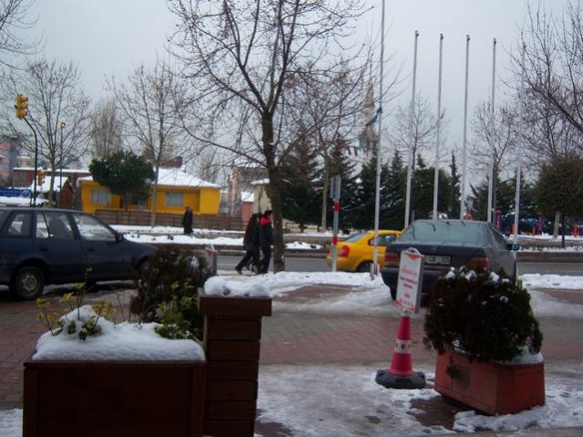 Name:  100_4786.jpg
Views: 503
Size:  58.1 KB
