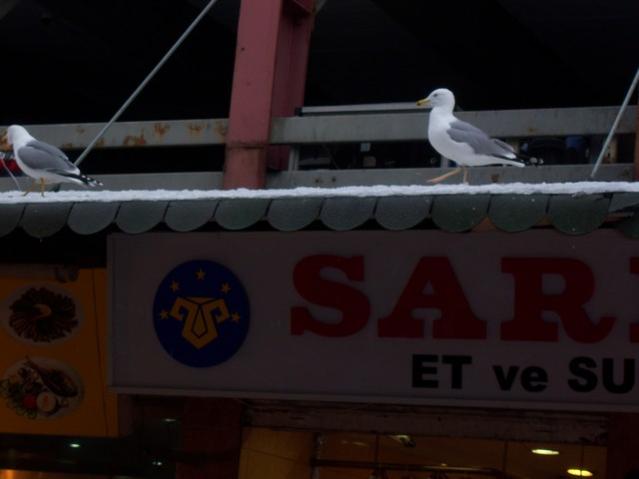 Name:  100_4789.jpg
Views: 487
Size:  23.2 KB