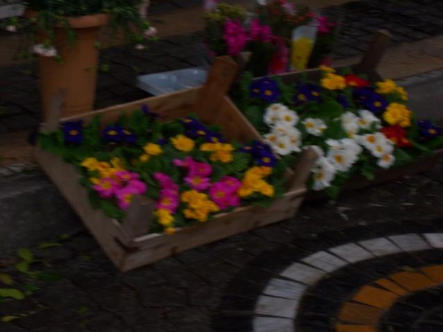 Name:  100_4790.jpg
Views: 275
Size:  30.5 KB