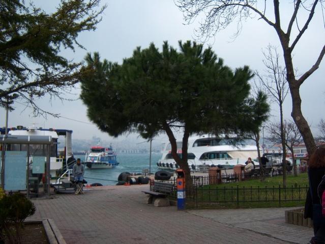 Name:  100_4793.jpg
Views: 270
Size:  54.5 KB