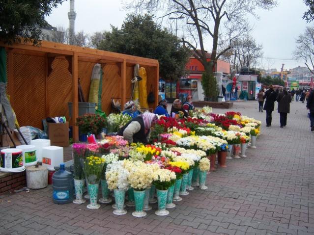 Name:  100_4795.jpg
Views: 298
Size:  63.8 KB