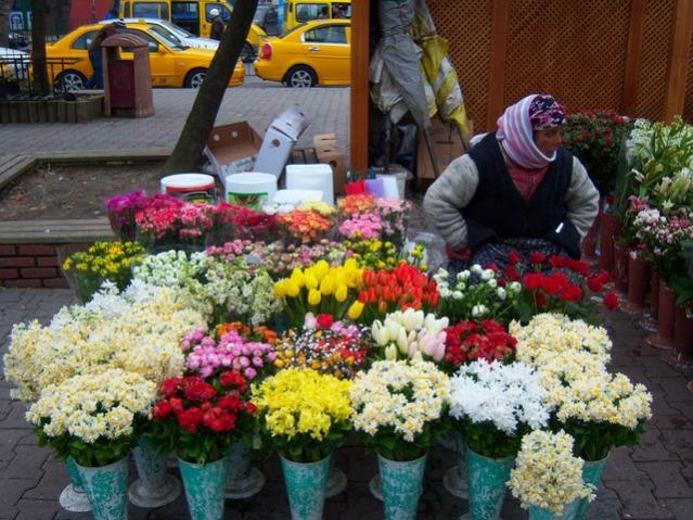 Name:  100_4796.jpg
Views: 254
Size:  68.8 KB