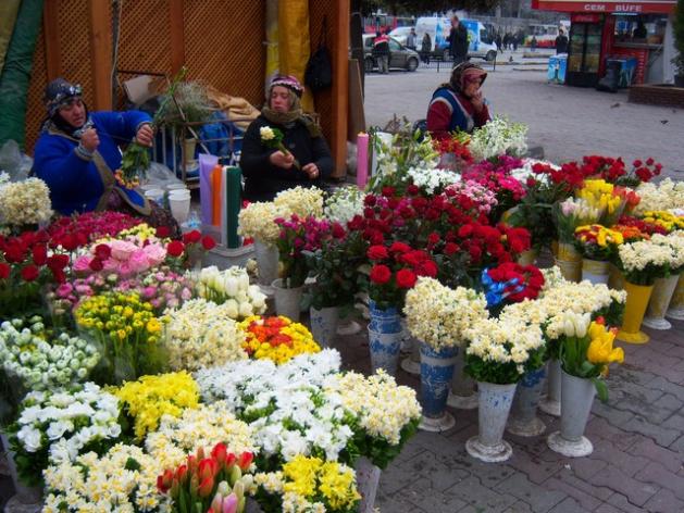 Name:  100_4797.jpg
Views: 278
Size:  71.0 KB