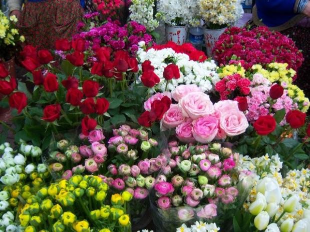 Name:  100_4799.jpg
Views: 272
Size:  71.3 KB