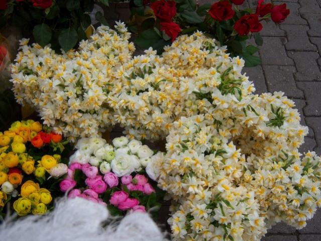 Name:  100_4802.jpg
Views: 265
Size:  62.7 KB