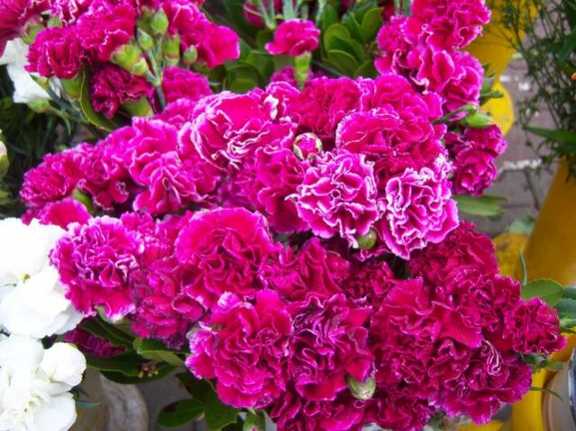 Name:  100_4803.jpg
Views: 272
Size:  68.6 KB