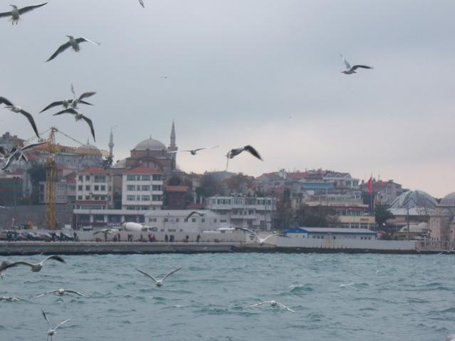 Name:  100_4817.jpg
Views: 265
Size:  31.3 KB