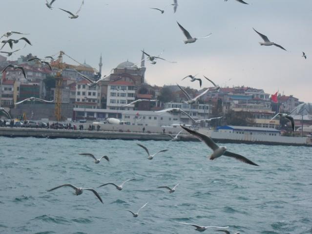 Name:  100_4818.jpg
Views: 263
Size:  38.2 KB