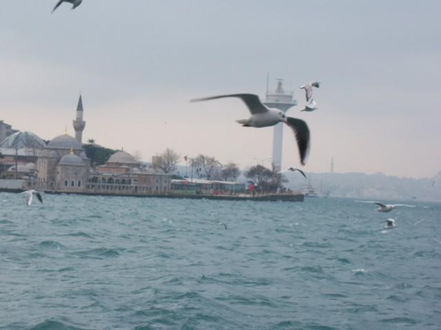 Name:  100_4819.jpg
Views: 259
Size:  27.1 KB