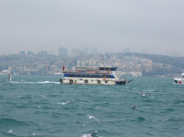 Name:  100_4820.jpg
Views: 265
Size:  29.3 KB
