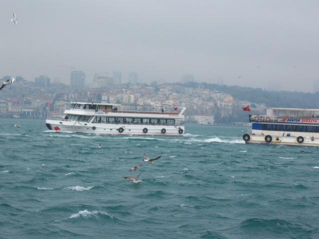 Name:  100_4821.jpg
Views: 262
Size:  32.8 KB