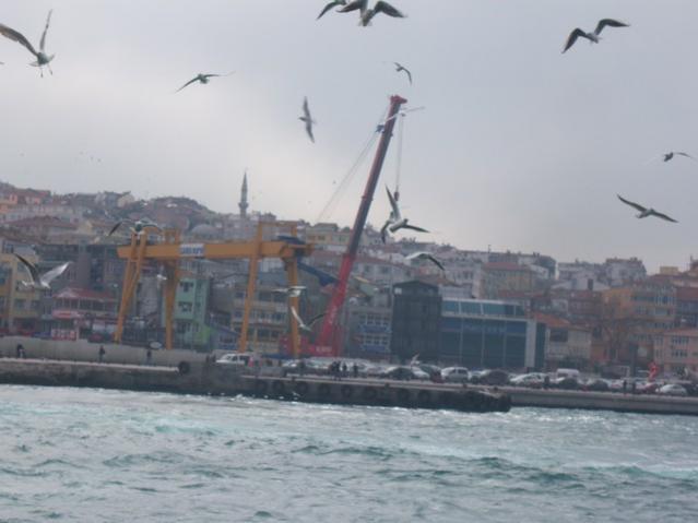 Name:  100_4823.jpg
Views: 251
Size:  31.2 KB