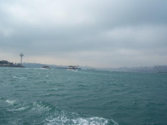 Name:  100_4824.jpg
Views: 253
Size:  24.1 KB