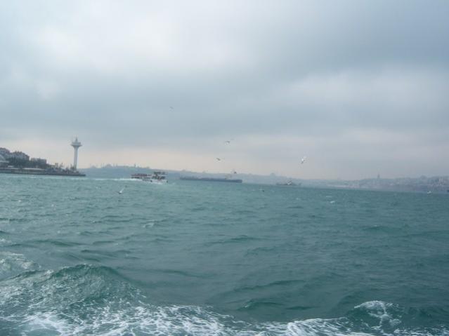 Name:  100_4825.jpg
Views: 249
Size:  25.6 KB