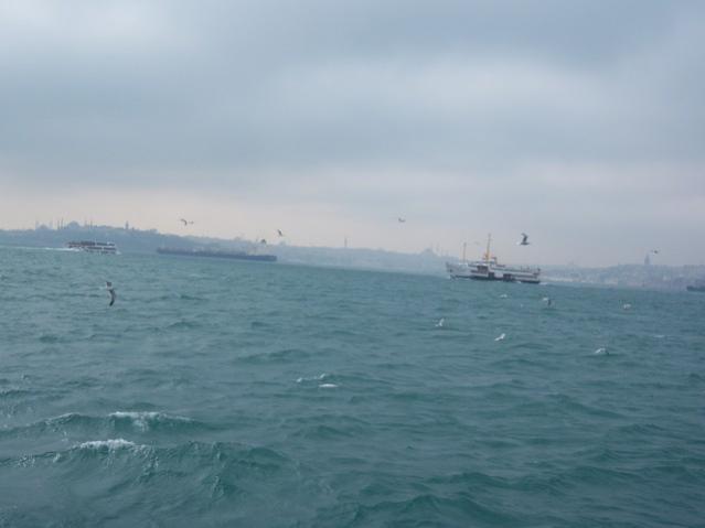 Name:  100_4826.jpg
Views: 273
Size:  21.8 KB