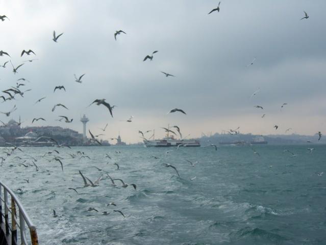 Name:  100_4827.jpg
Views: 248
Size:  29.7 KB