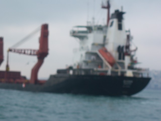 Name:  100_4831.jpg
Views: 249
Size:  60.1 KB
