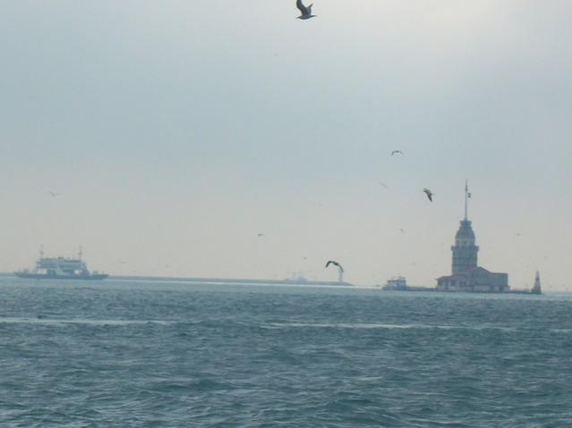 Name:  100_4834.jpg
Views: 257
Size:  21.7 KB