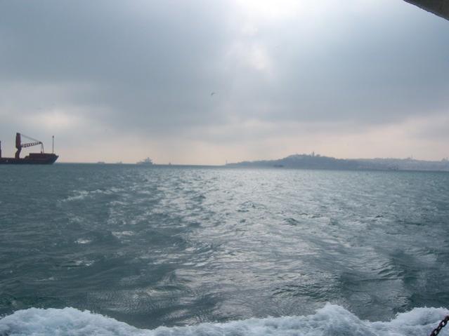 Name:  100_4836.jpg
Views: 256
Size:  30.9 KB