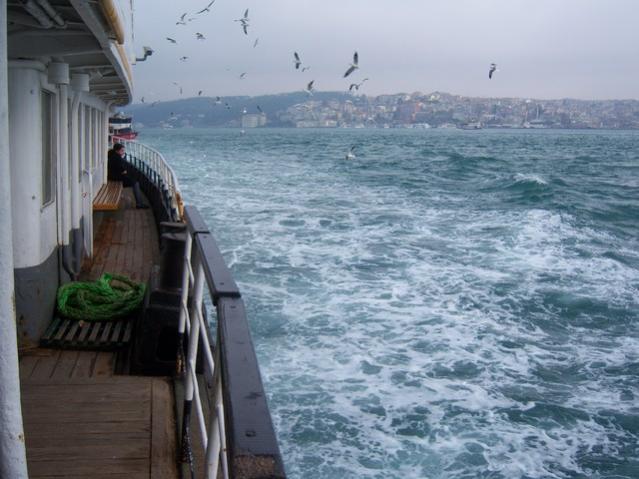Name:  100_4837.jpg
Views: 251
Size:  47.8 KB