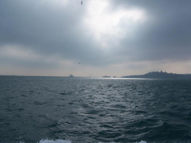 Name:  100_4841.jpg
Views: 312
Size:  27.8 KB