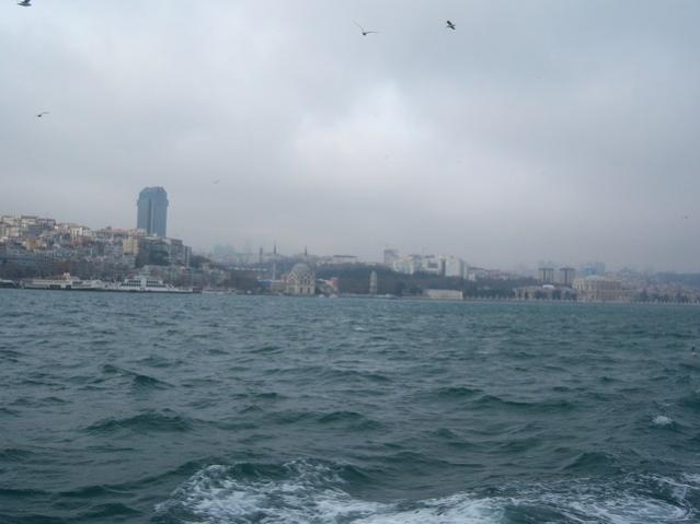 Name:  100_4843.jpg
Views: 315
Size:  29.3 KB