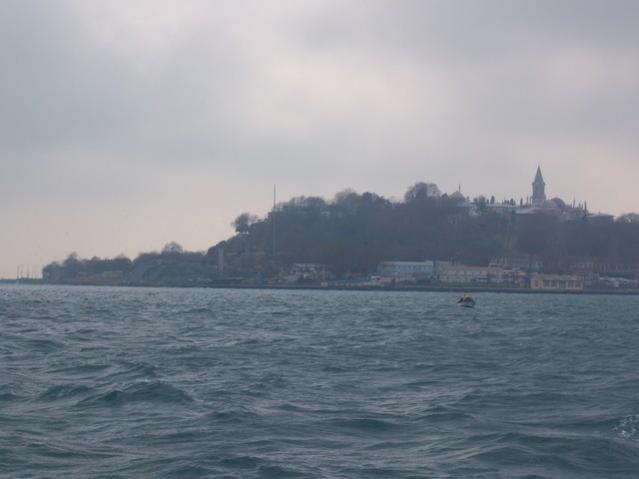 Name:  100_4849.jpg
Views: 256
Size:  25.8 KB