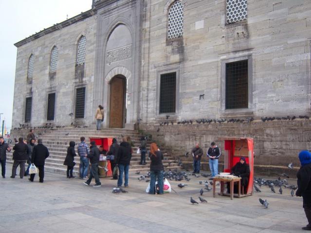 Name:  100_4858.jpg
Views: 327
Size:  48.9 KB