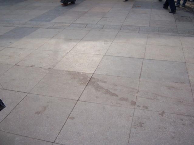 Name:  100_4860.jpg
Views: 329
Size:  27.5 KB