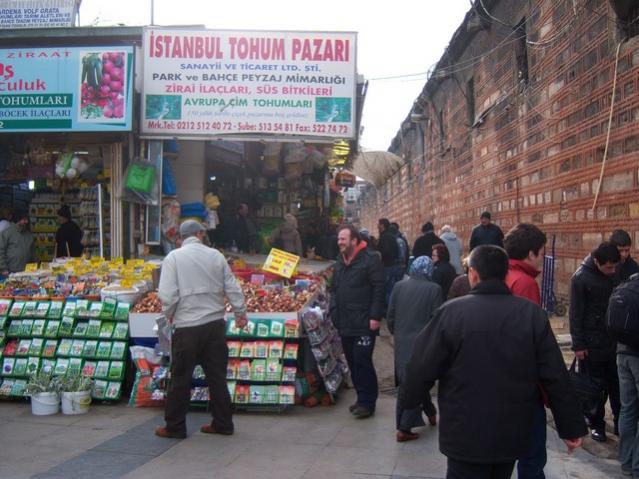 Name:  100_4861.jpg
Views: 343
Size:  54.9 KB