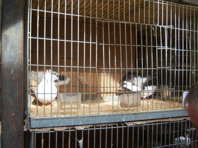 Name:  100_4865.jpg
Views: 310
Size:  60.4 KB