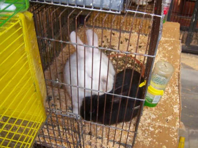Name:  100_4871.jpg
Views: 247
Size:  57.4 KB