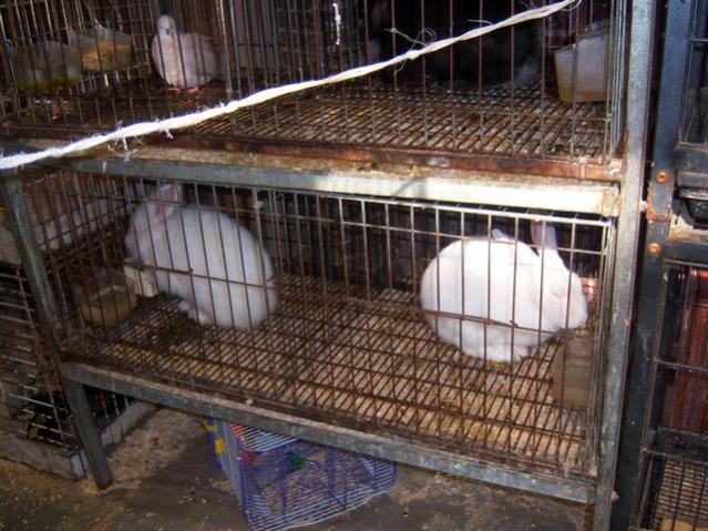 Name:  100_4872.jpg
Views: 240
Size:  61.9 KB