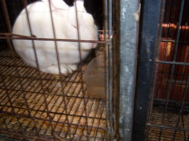 Name:  100_4873.jpg
Views: 262
Size:  42.0 KB