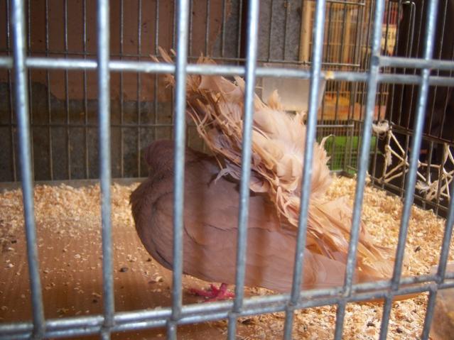 Name:  100_4875.jpg
Views: 276
Size:  53.0 KB