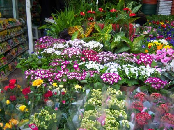 Name:  100_4878.jpg
Views: 503
Size:  72.8 KB