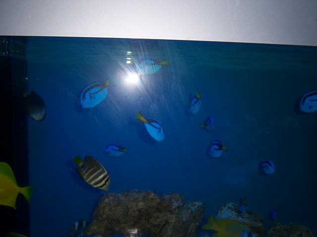 Name:  100_4883.jpg
Views: 247
Size:  67.0 KB