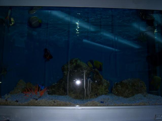 Name:  100_4884.jpg
Views: 258
Size:  24.8 KB