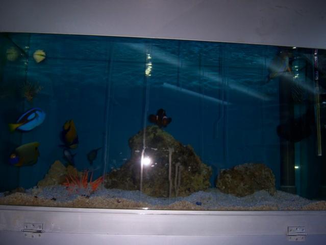 Name:  100_4885.jpg
Views: 255
Size:  25.7 KB