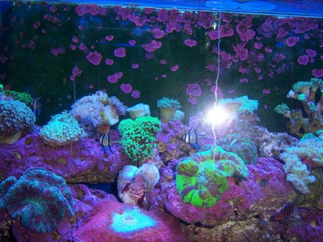 Name:  100_4887.jpg
Views: 277
Size:  59.5 KB